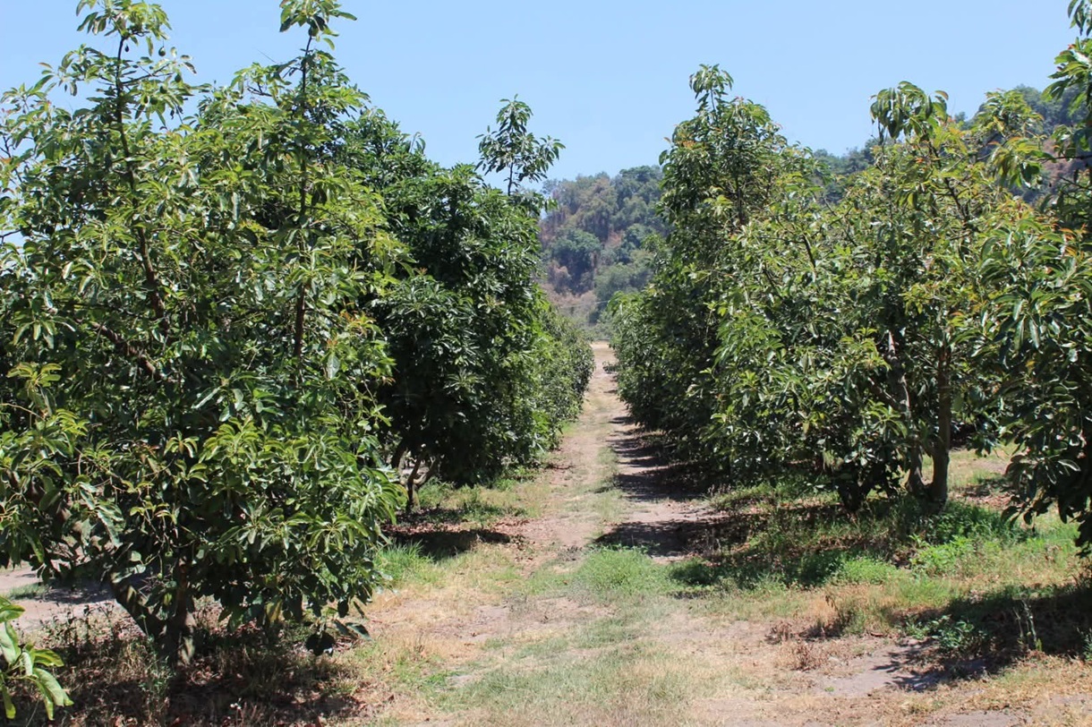 (Foto de Boletín de Prensa)