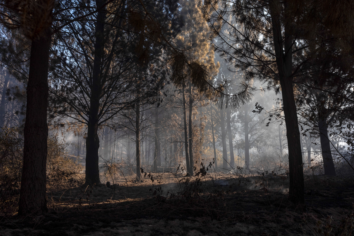 Una zona afectada por los incendios forestales el pasado miércoles en el Hoyo provincia de Chubut (Argentina). (Foto de Matías Garay de la agencia EFE)