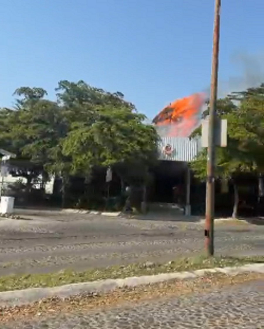 Imagen tomada de un video.