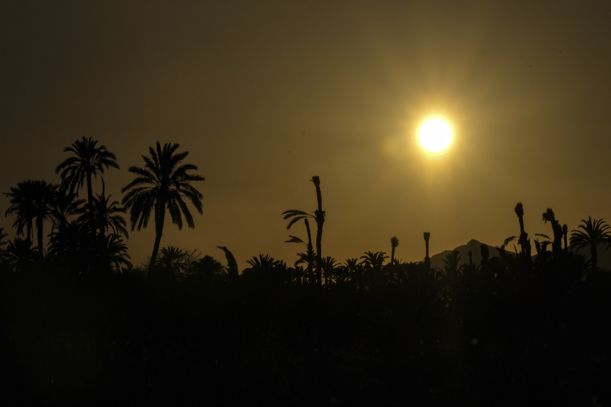 Un atardecer en Alzabares, una pedanía del campo de Elche (Alicante). (Fotografía de archivo de Pablo Miranzo de la agencia EFE)