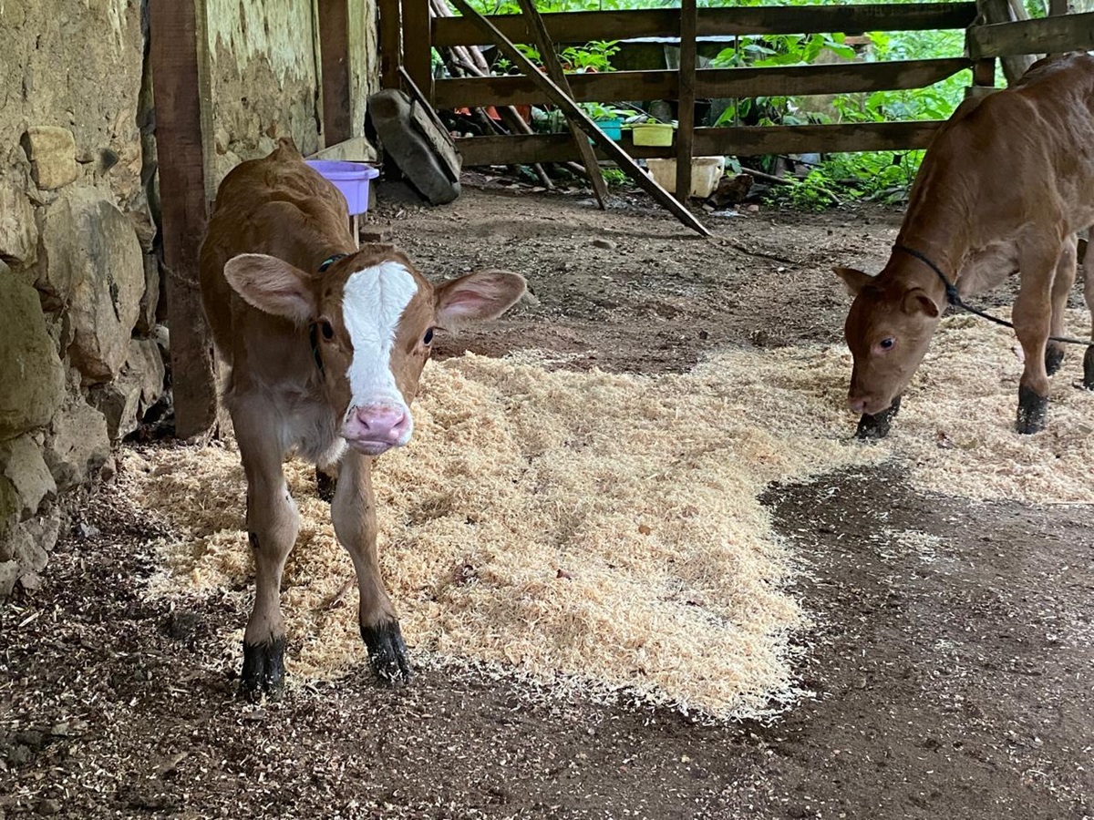(Foto de la Dirección General de Prensa de la Universidad de Colima)