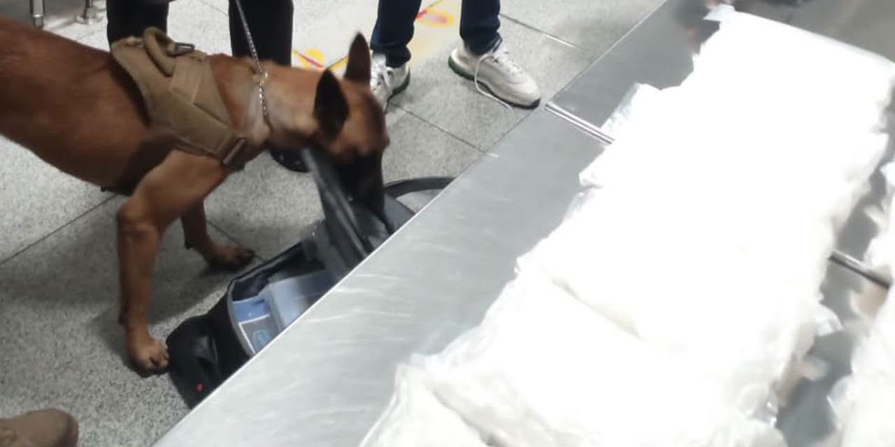 Decomisan más de 47 kilos de droga en el AICM; hay cuatro detenidos